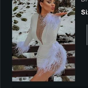 Fashion Nova feather dress